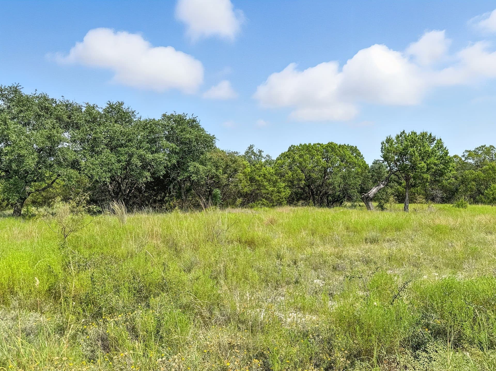 10.01 acres in Hamilton County - photo 7