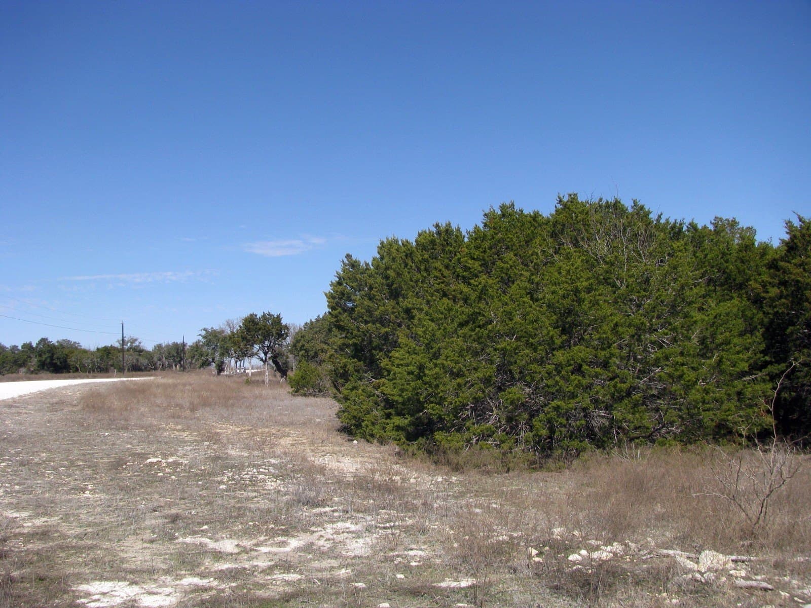 10.01 acres in Hamilton County - photo 12