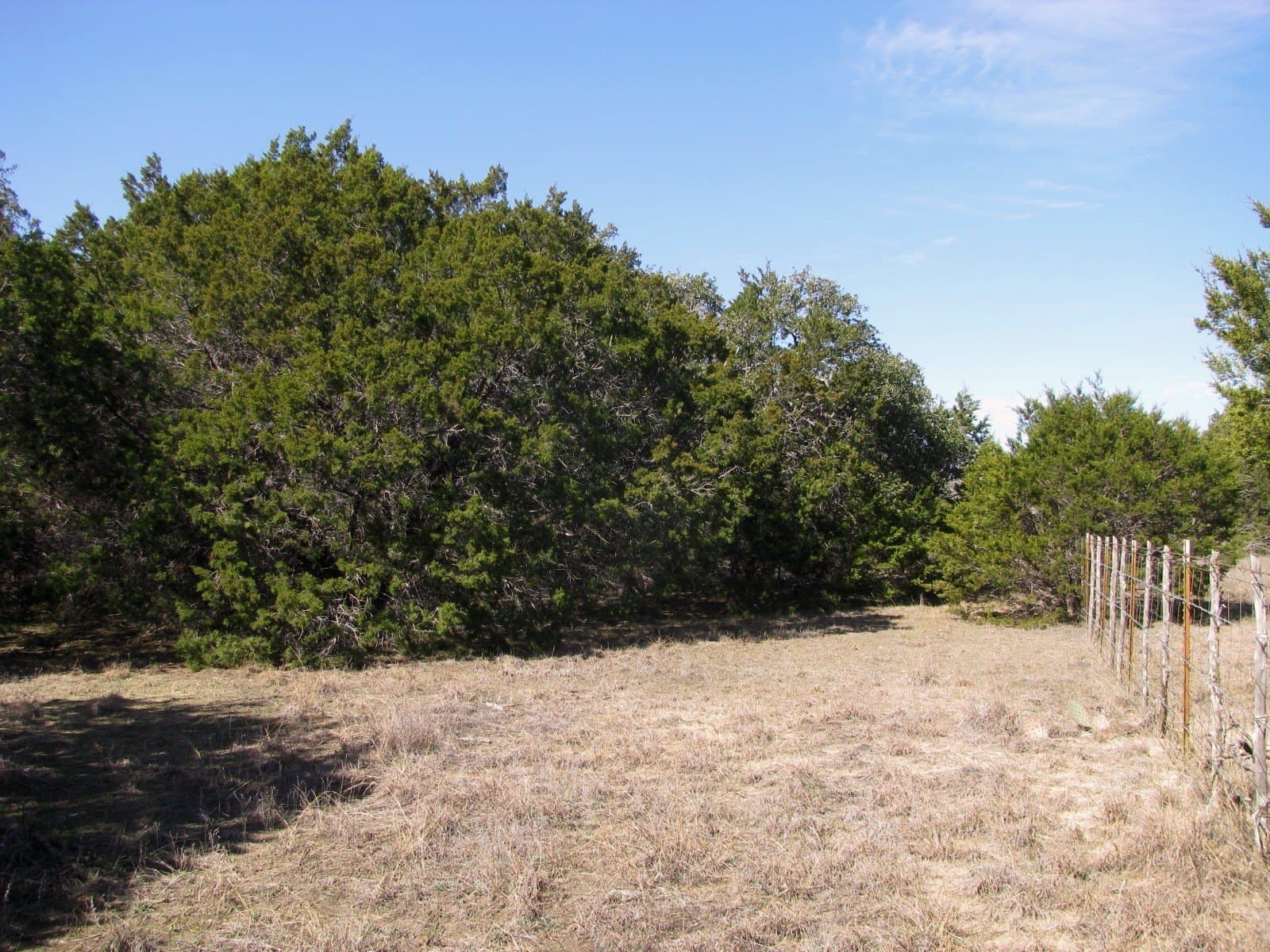 10.01 acres in Hamilton County - photo 15
