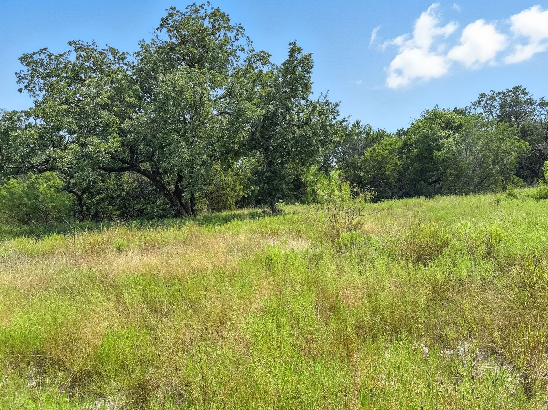 10.01 acres in Hamilton County - photo 10