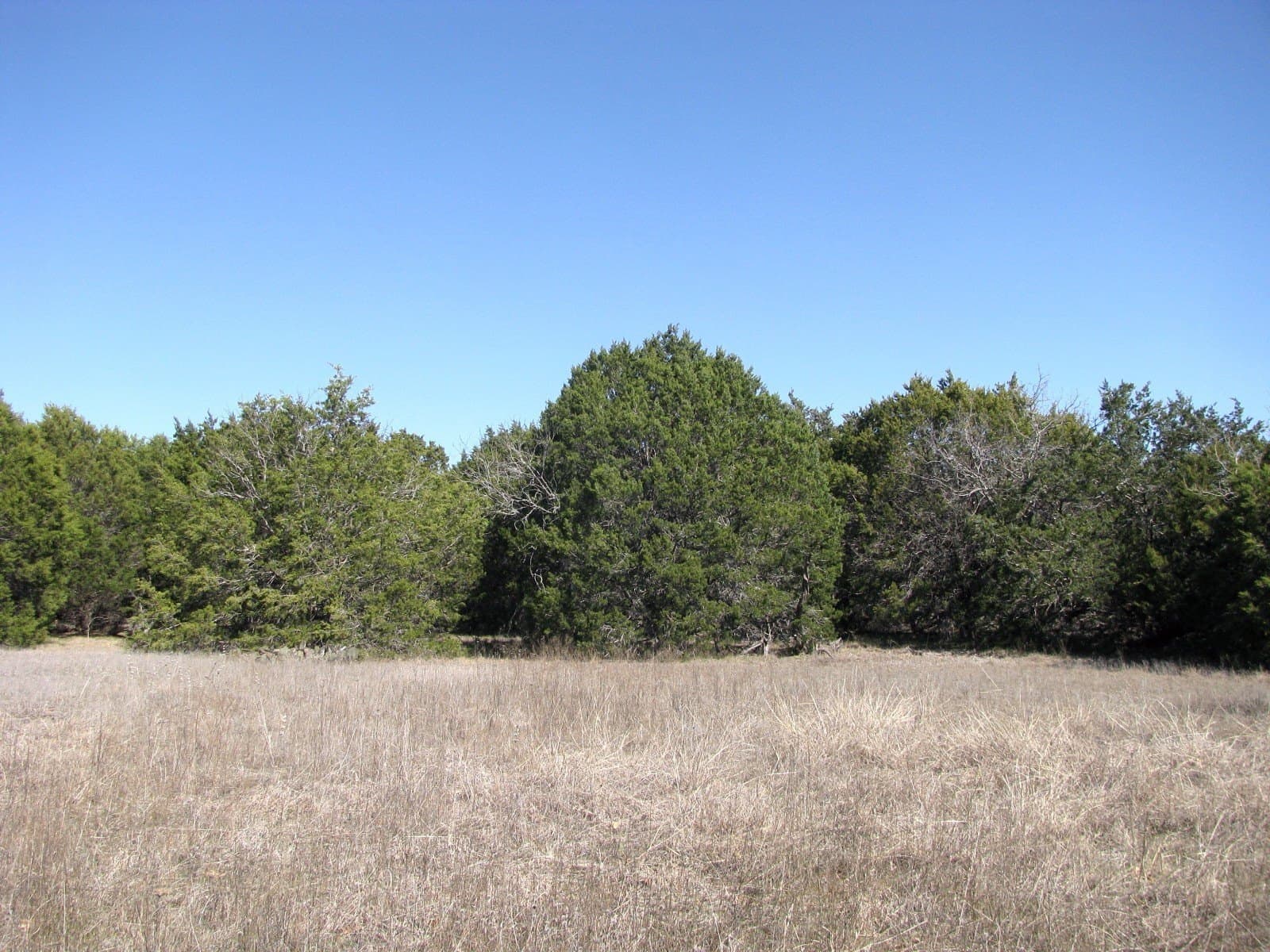 10.01 acres in Hamilton County - photo 11