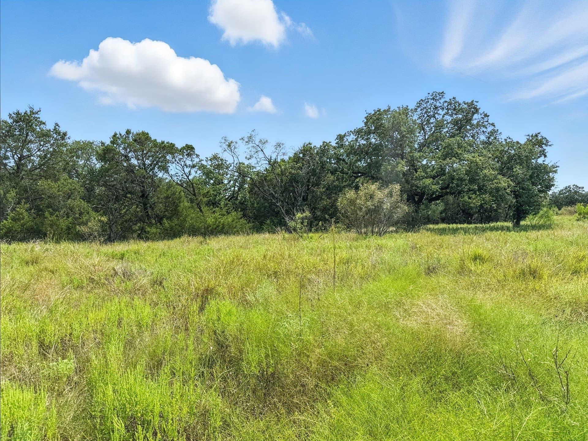 10.01 acres in Hamilton County - photo 9