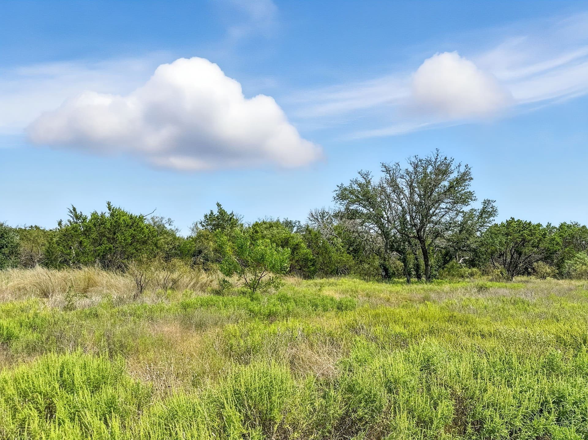 10.01 acres in Hamilton County - photo 6