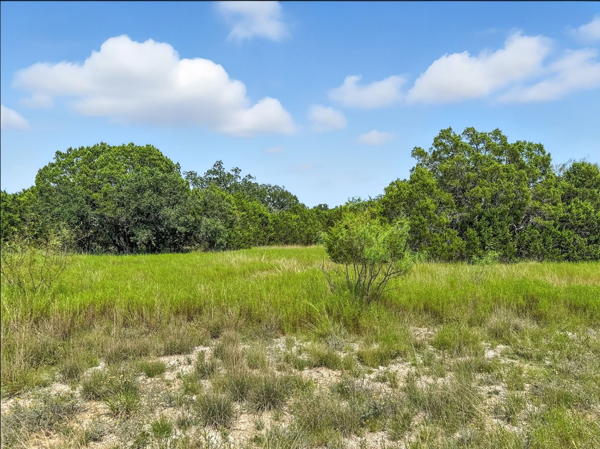 10.01 acres in Hamilton County - photo 8