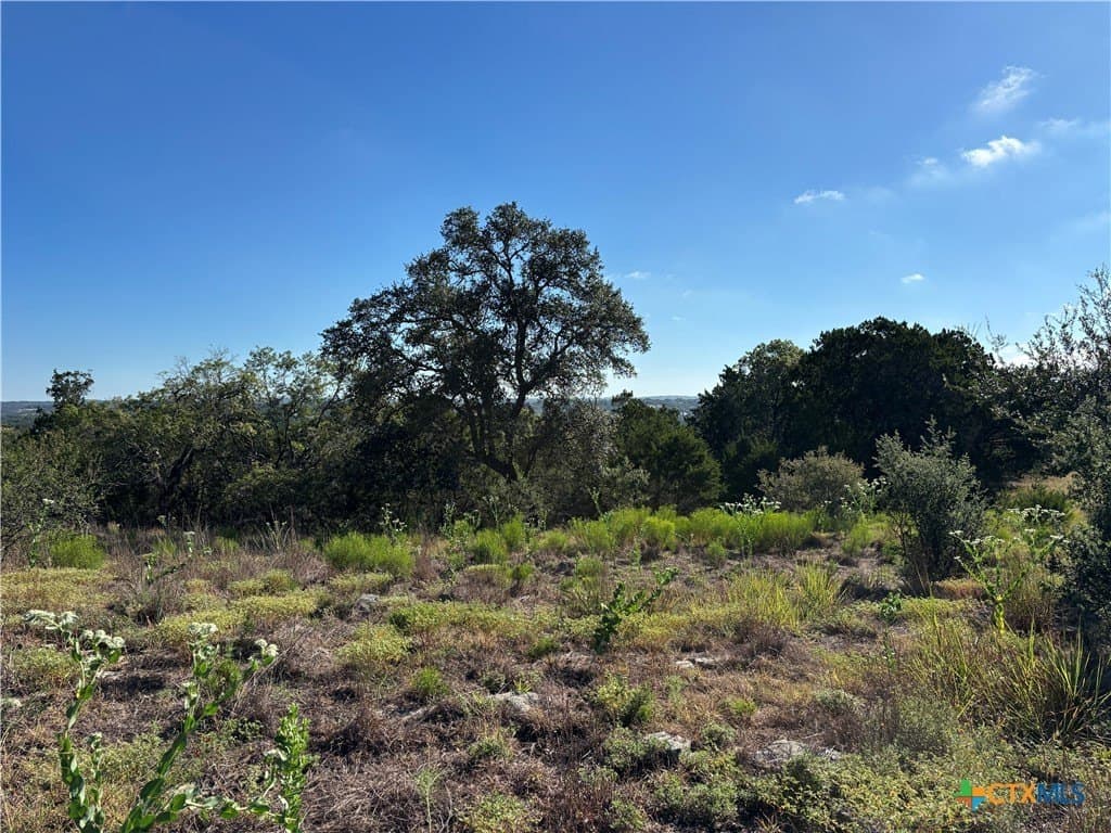 1.83 acres in Comal County - photo 14