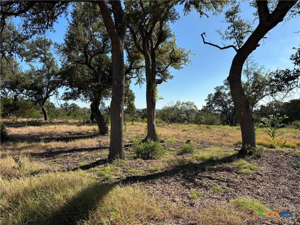 1.83 acres in Comal County - photo 17