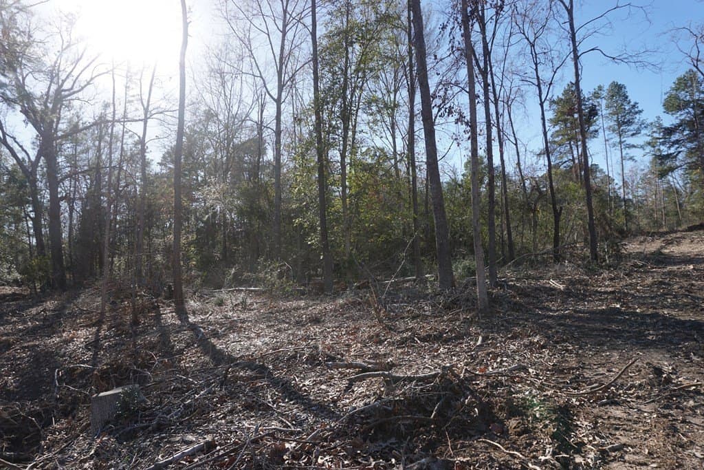16.92 acres in LEON County featured view