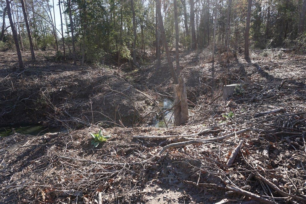 16.92 acres in LEON County gallery image 4
