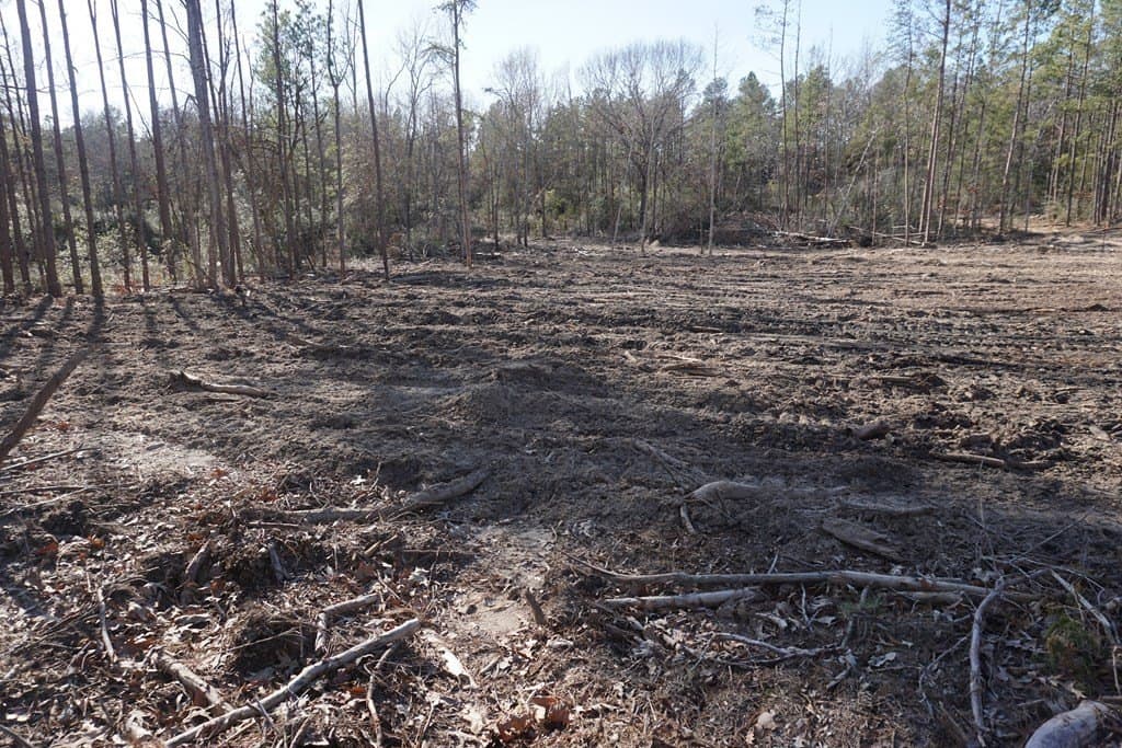 16.92 acres in LEON County - photo 7