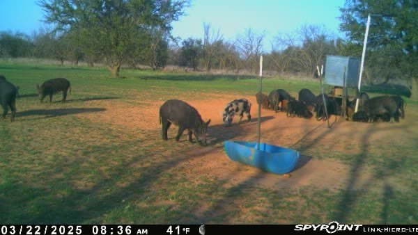 160 acres in Young County - photo 37