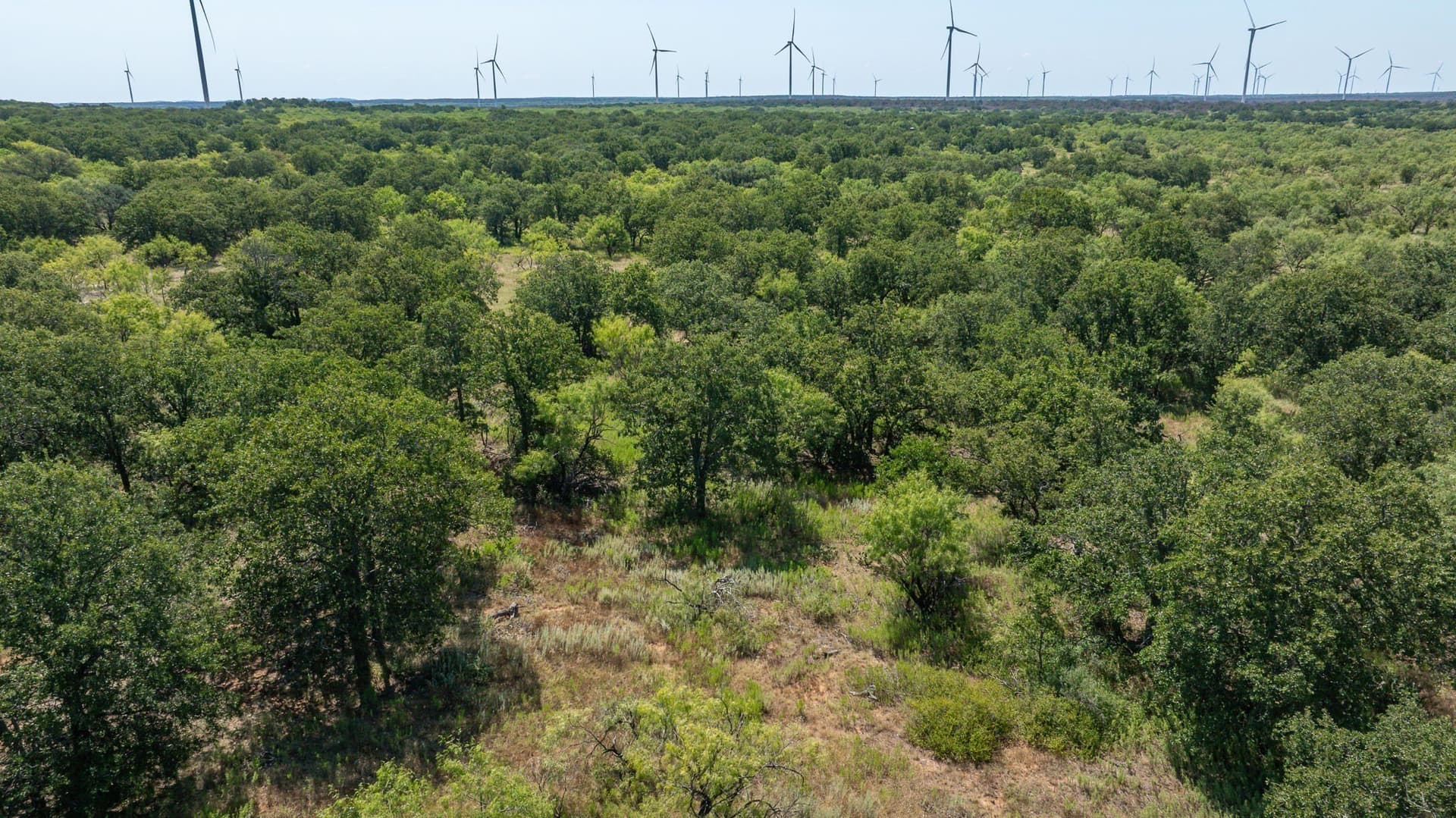 160 acres in Young County - photo 19