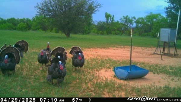 160 acres in Young County - photo 38