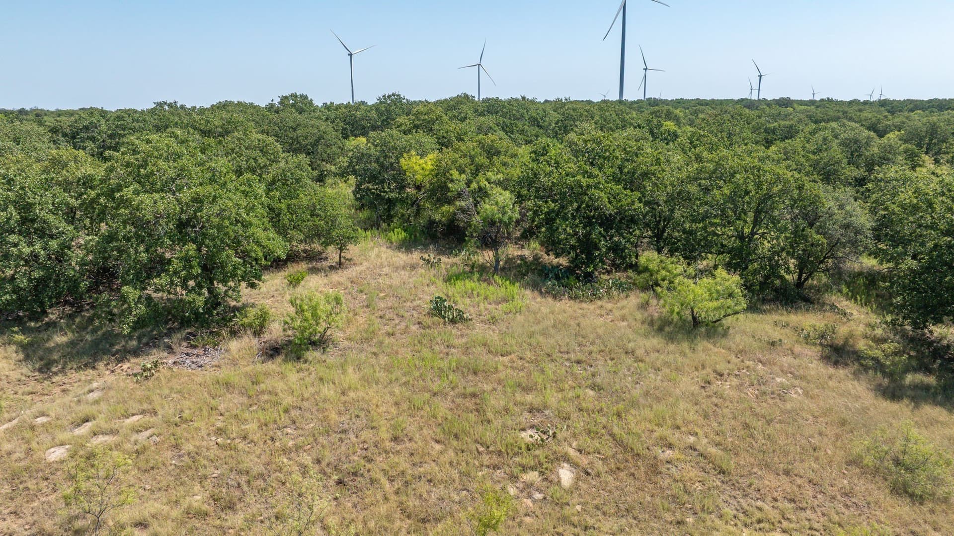 160 acres in Young County - photo 18