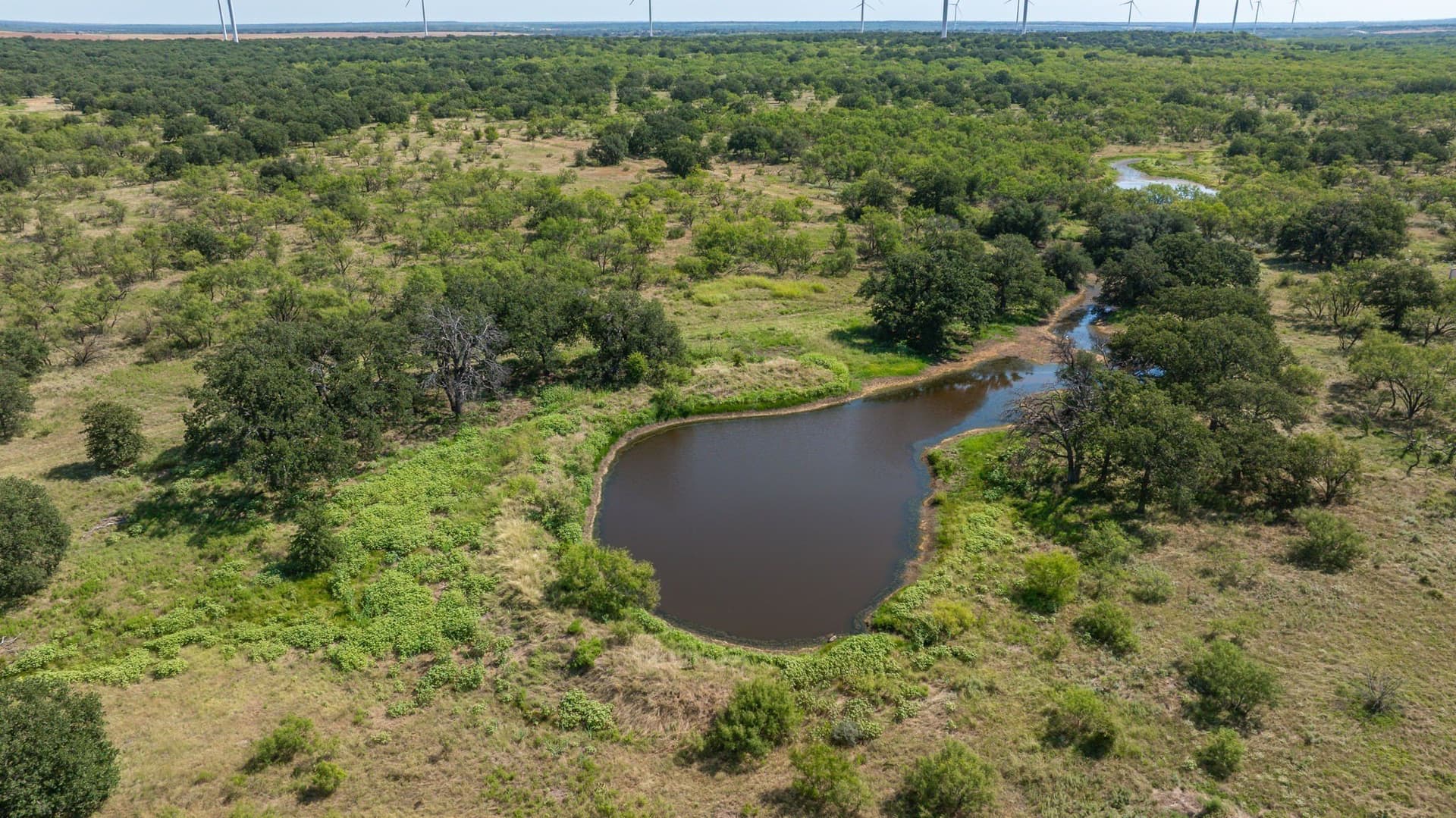 160 acres in Young County - photo 25