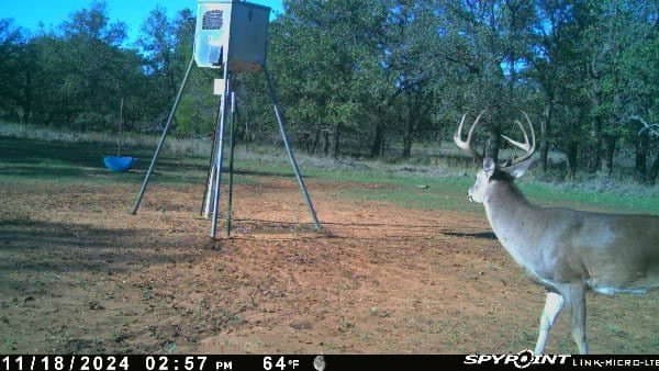 160 acres in Young County - photo 39