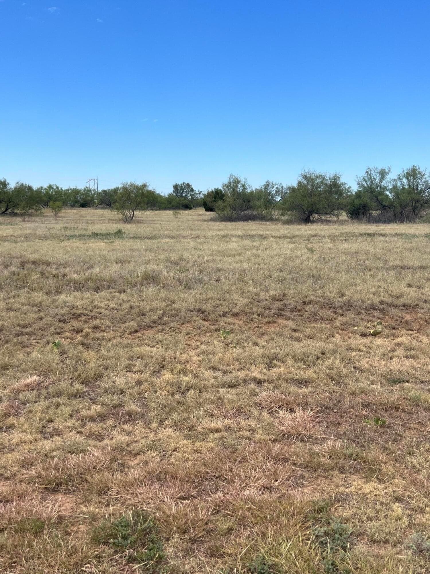 5.05 acres in Randall County featured view