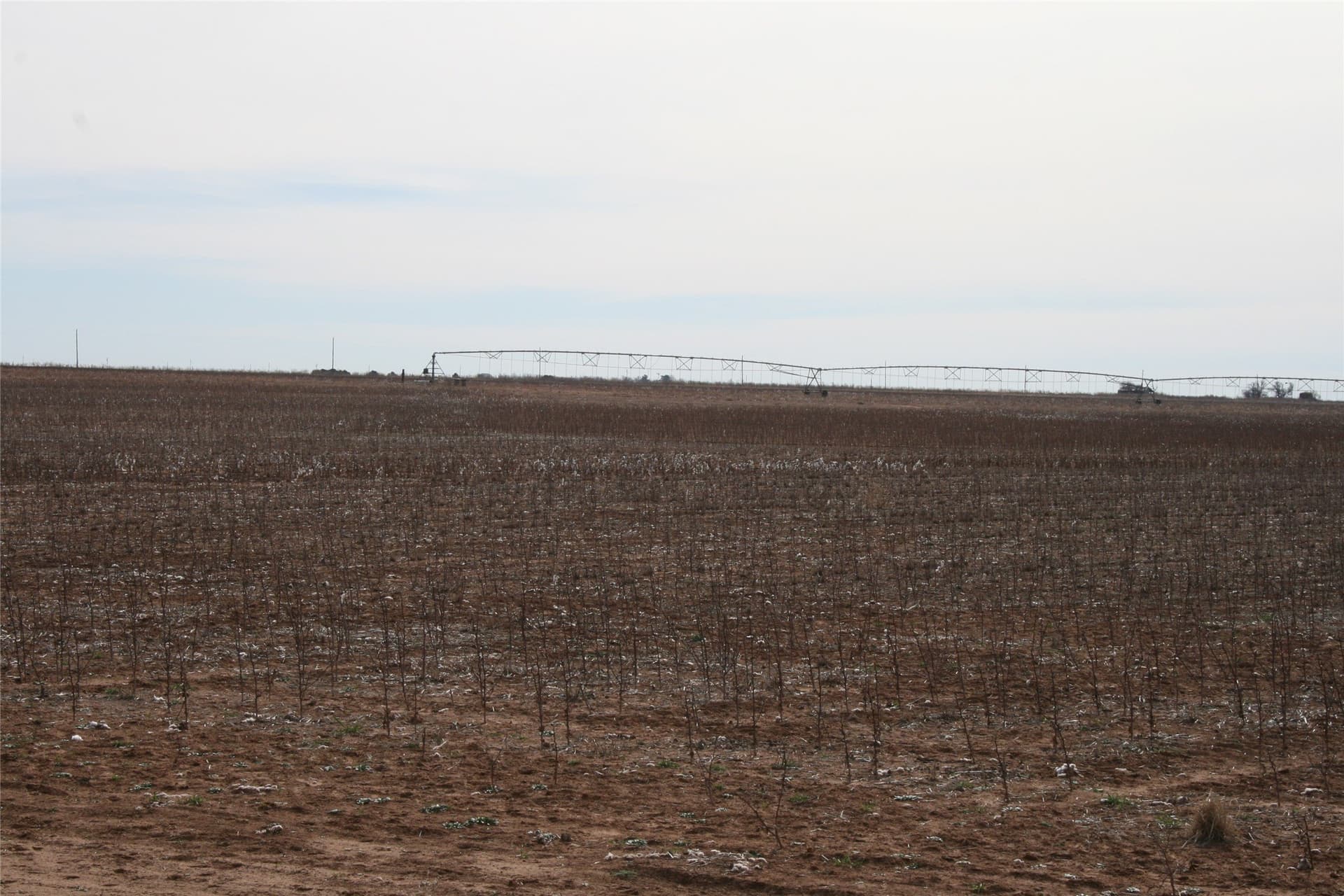 198.99 acres in Knox County - photo 2