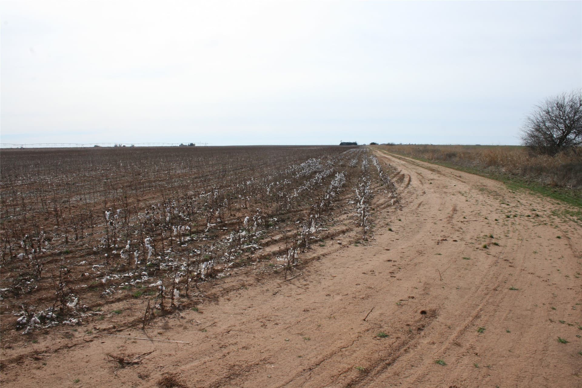 198.99 acres in Knox County - photo 11