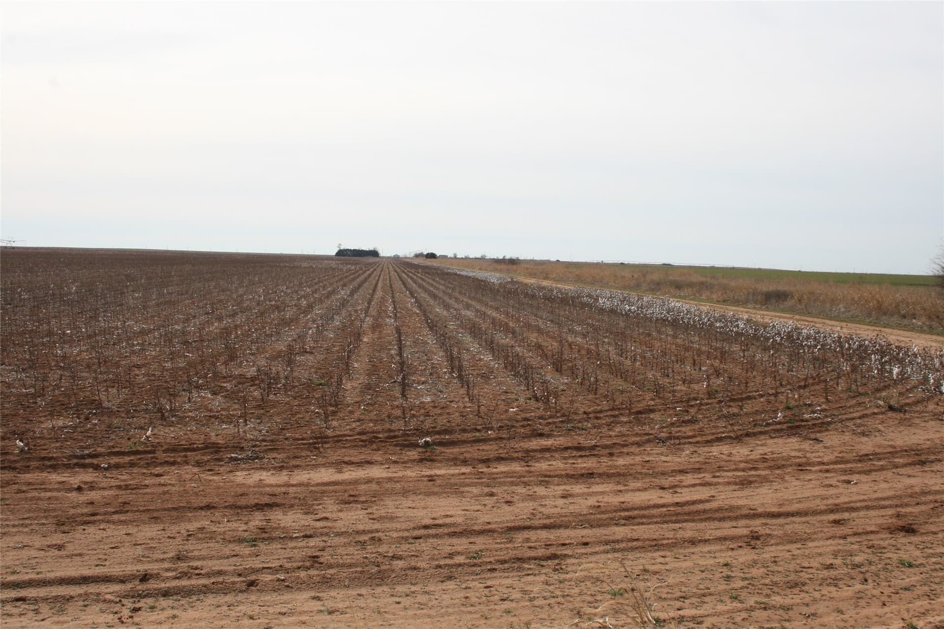 198.99 acres in Knox County - photo 4