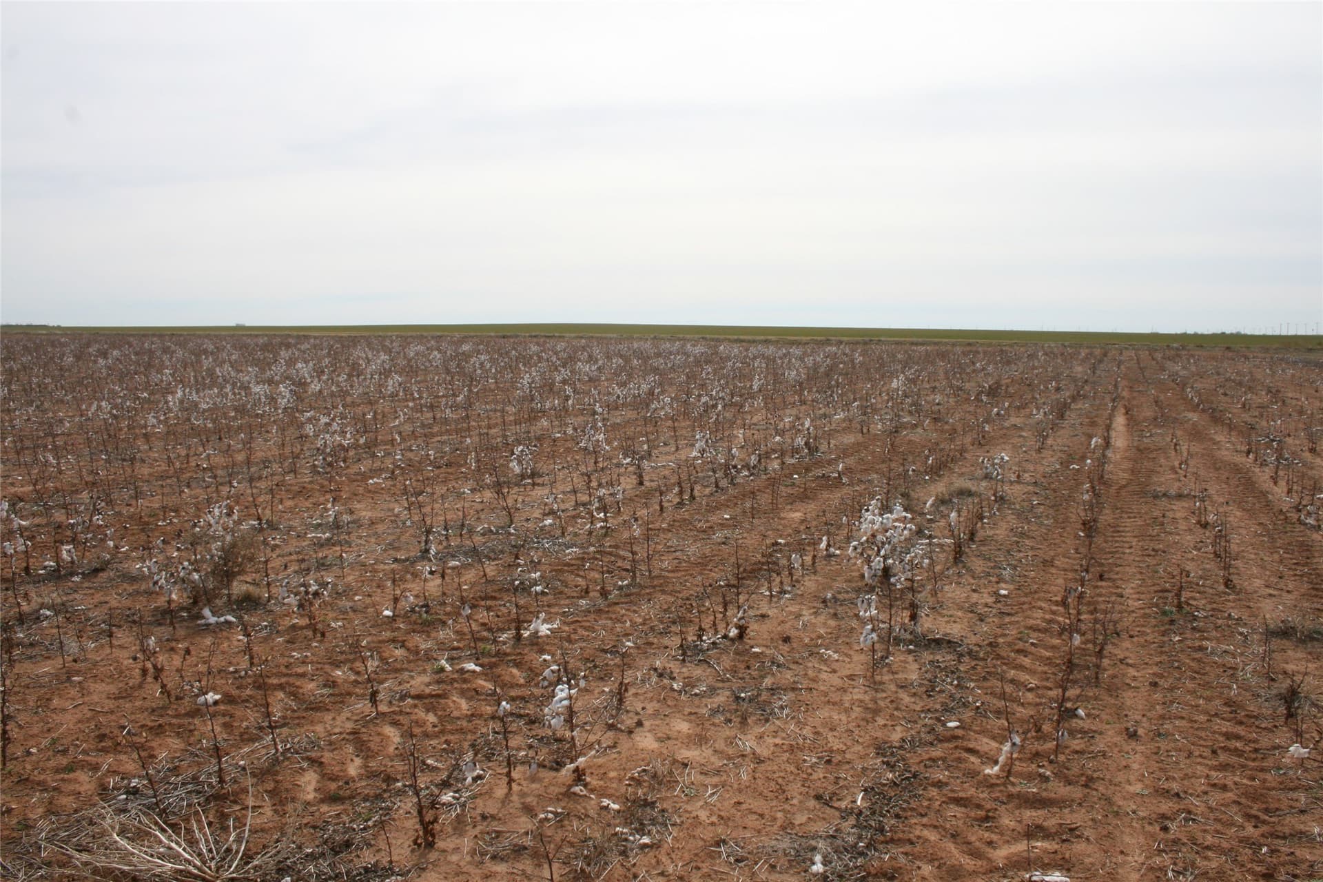 198.99 acres in Knox County - photo 27
