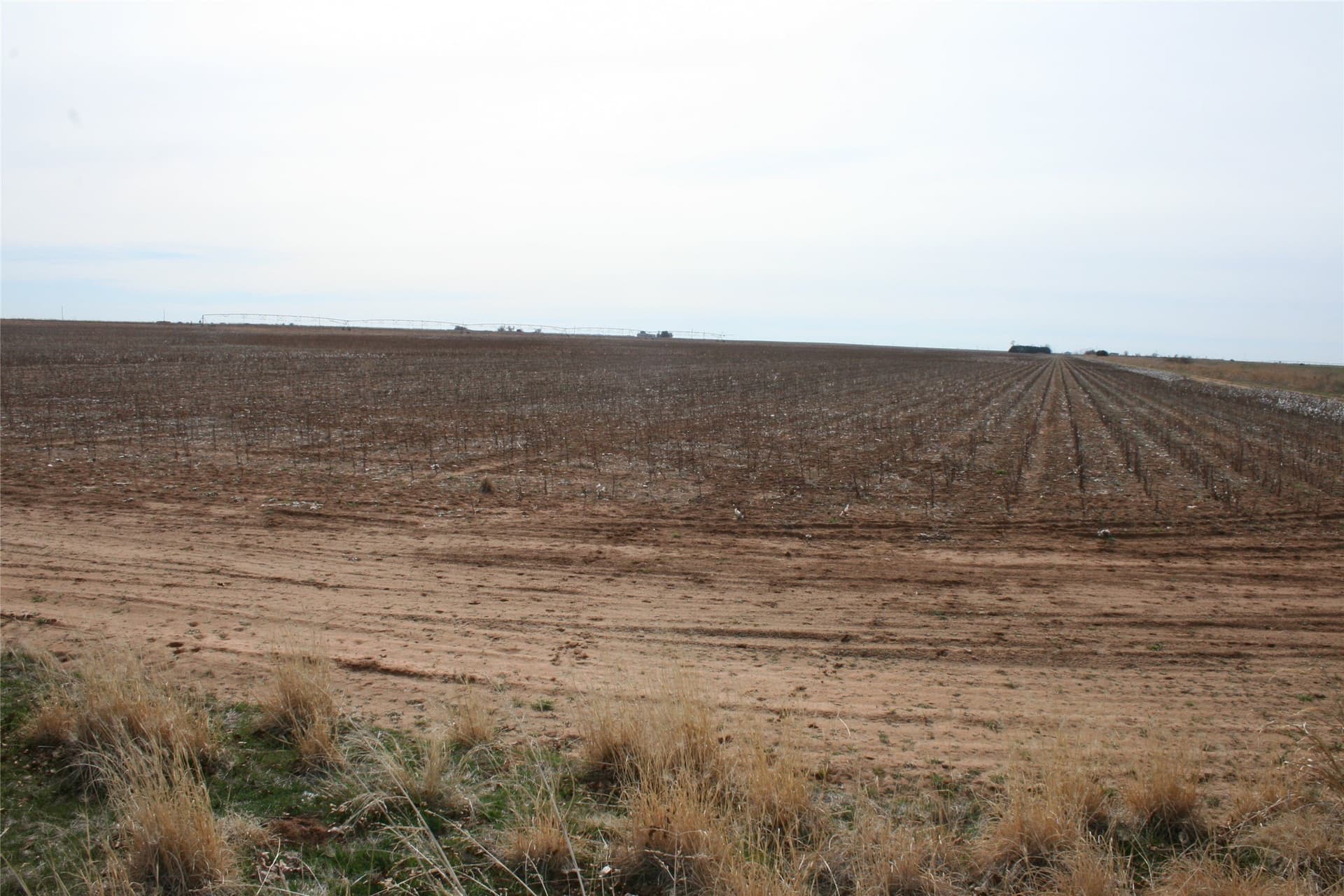 198.99 acres in Knox County - photo 5