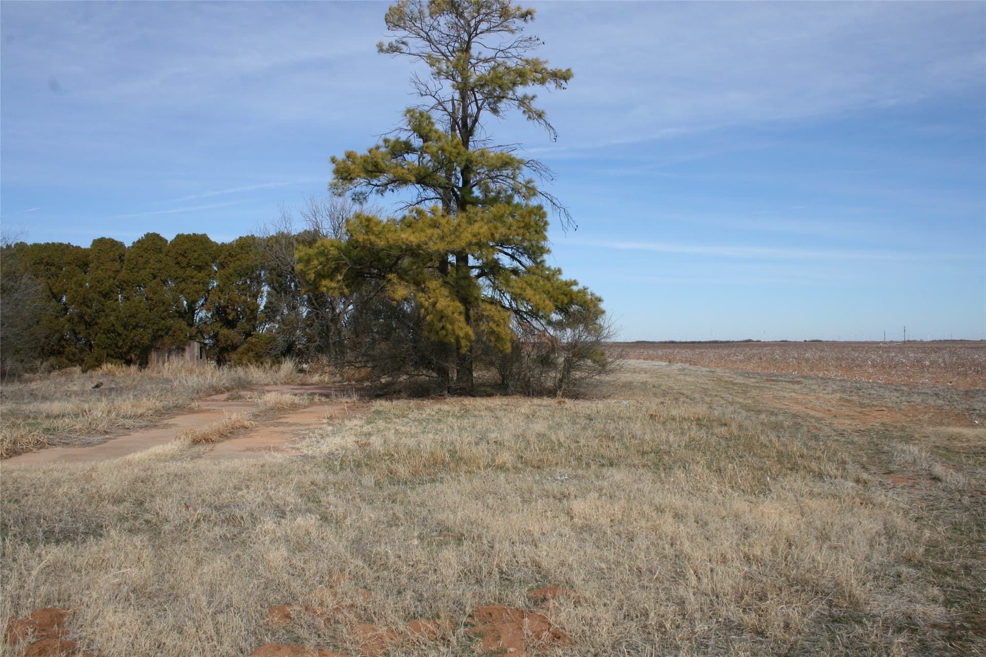 198.99 acres in Knox County - photo 13