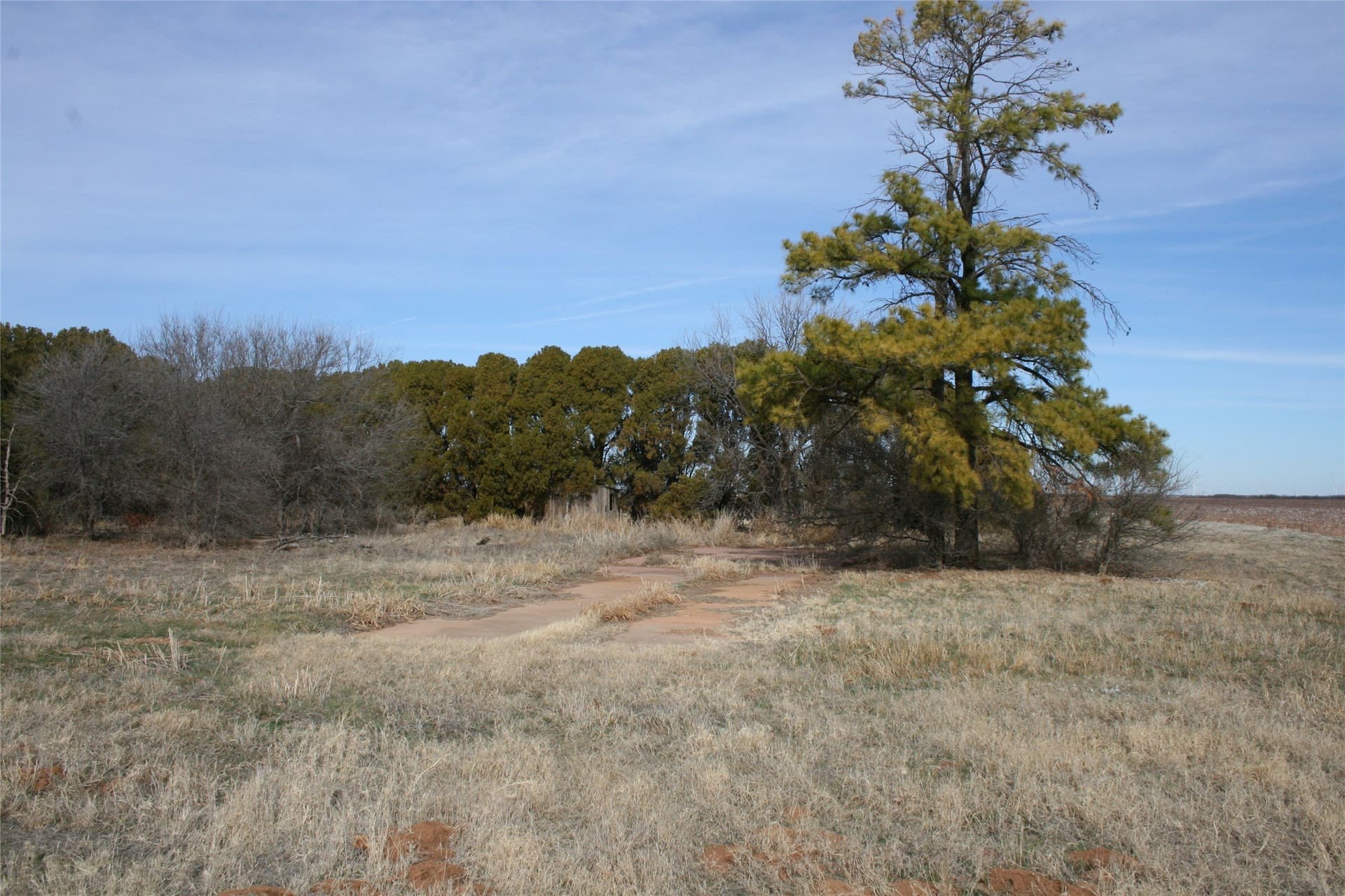 198.99 acres in Knox County - photo 14