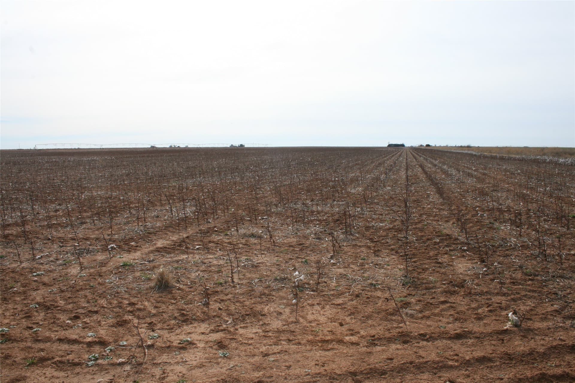 198.99 acres in Knox County - photo 9