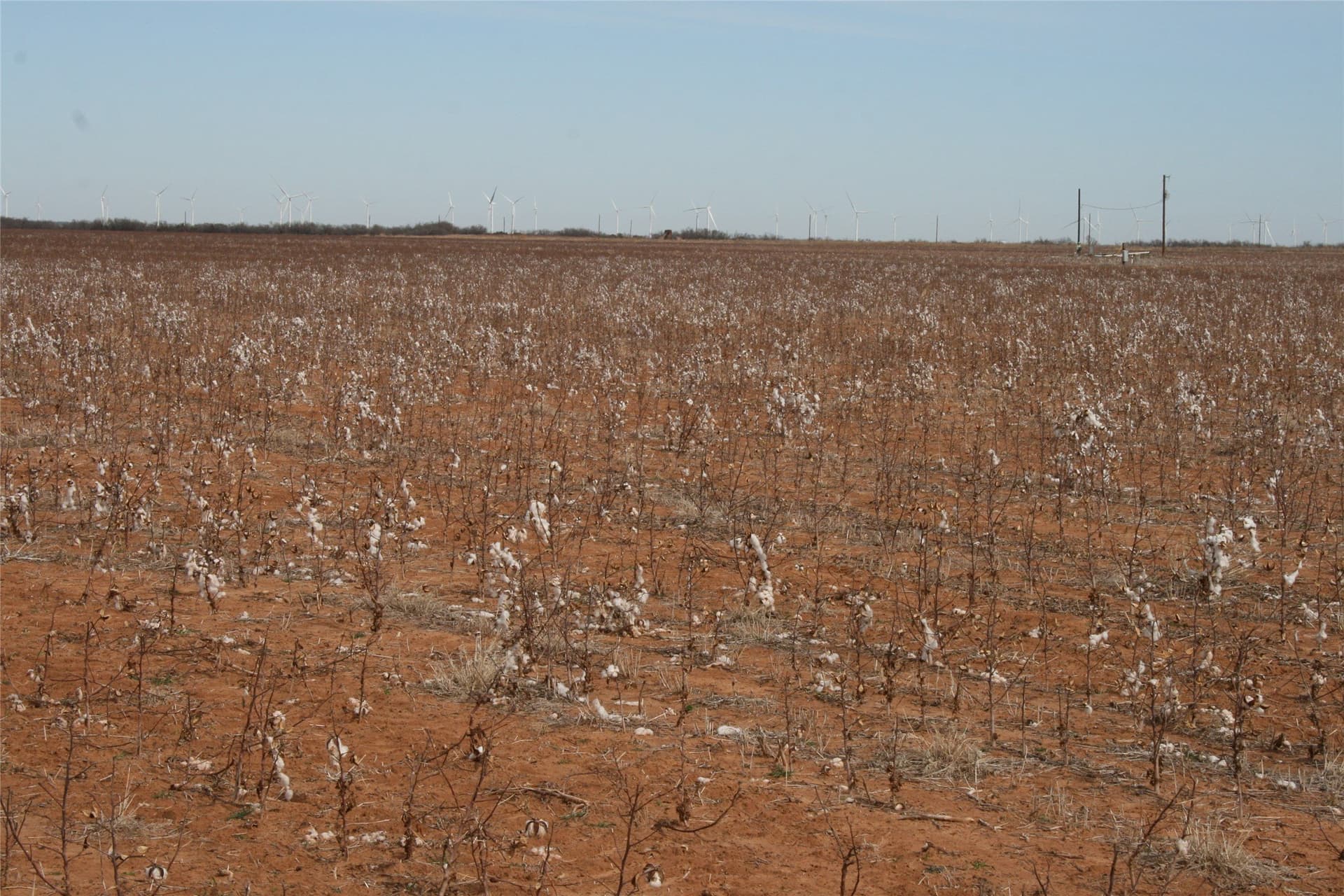 198.99 acres in Knox County - photo 26