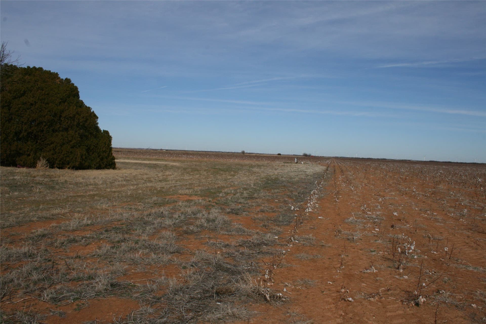 198.99 acres in Knox County - photo 20