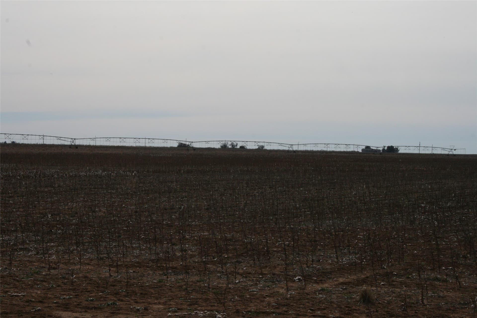 198.99 acres in Knox County - photo 8