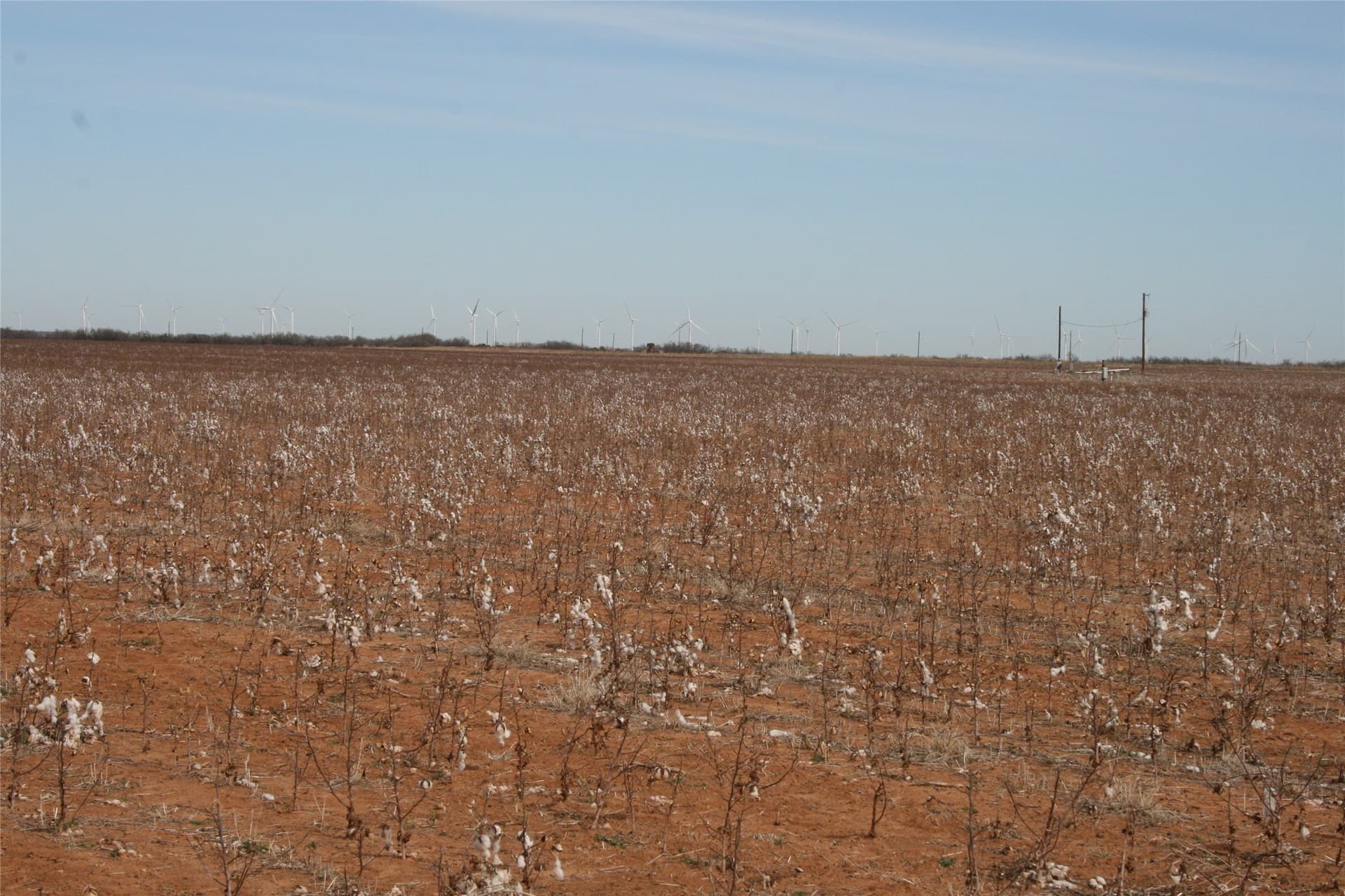 198.99 acres in Knox County - photo 24