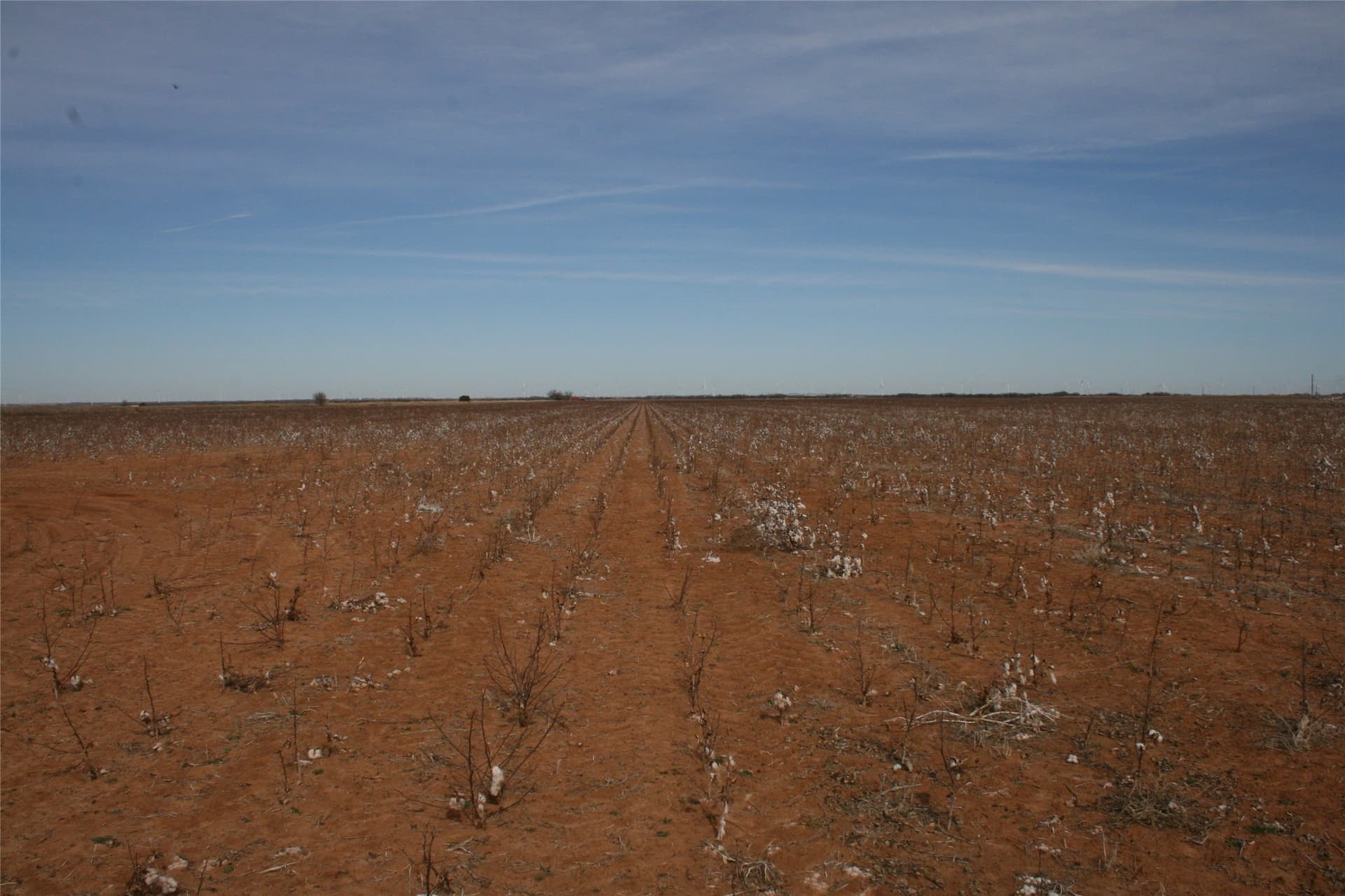 198.99 acres in Knox County - photo 25