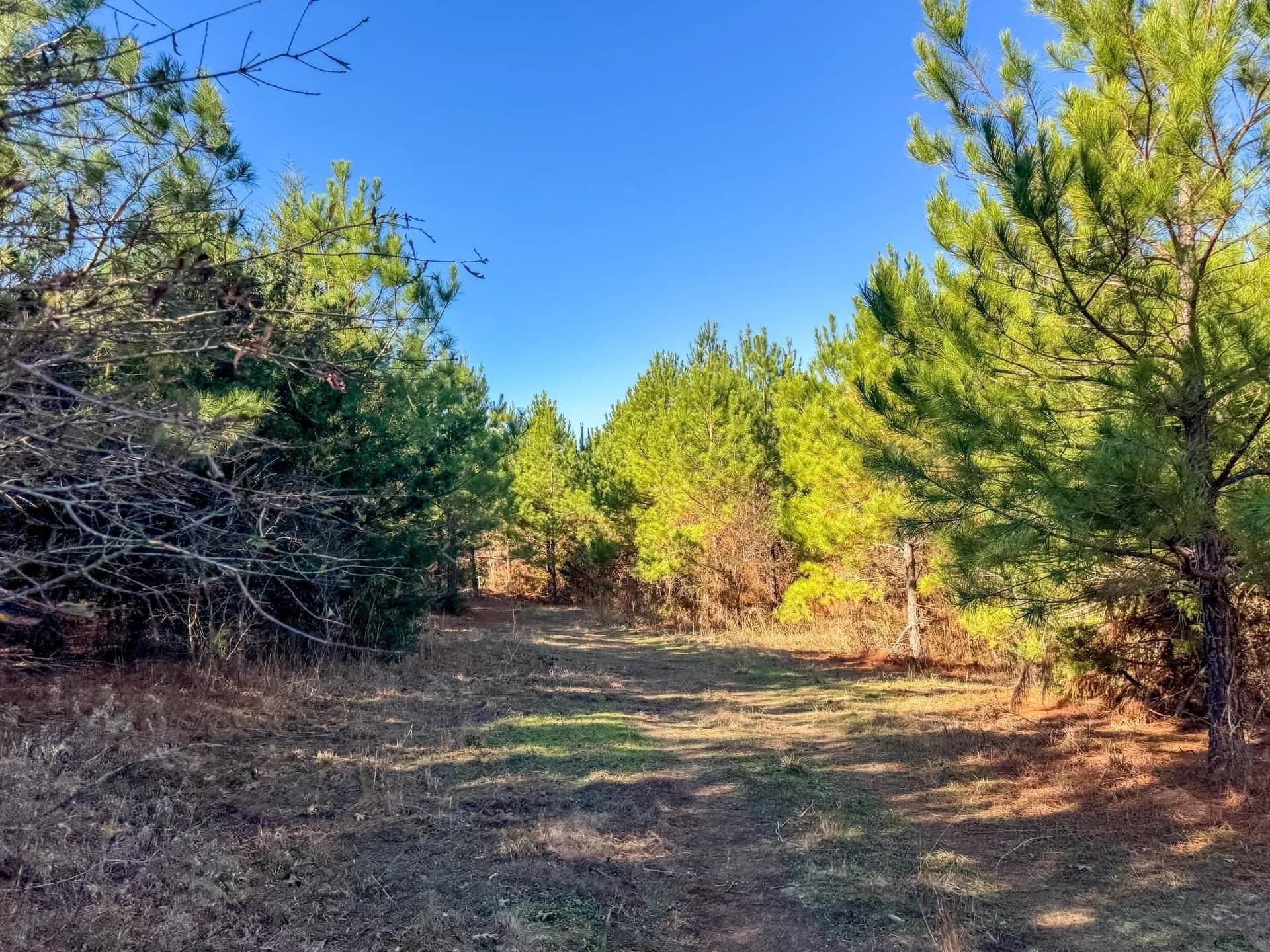 209.66 acres in Cass County