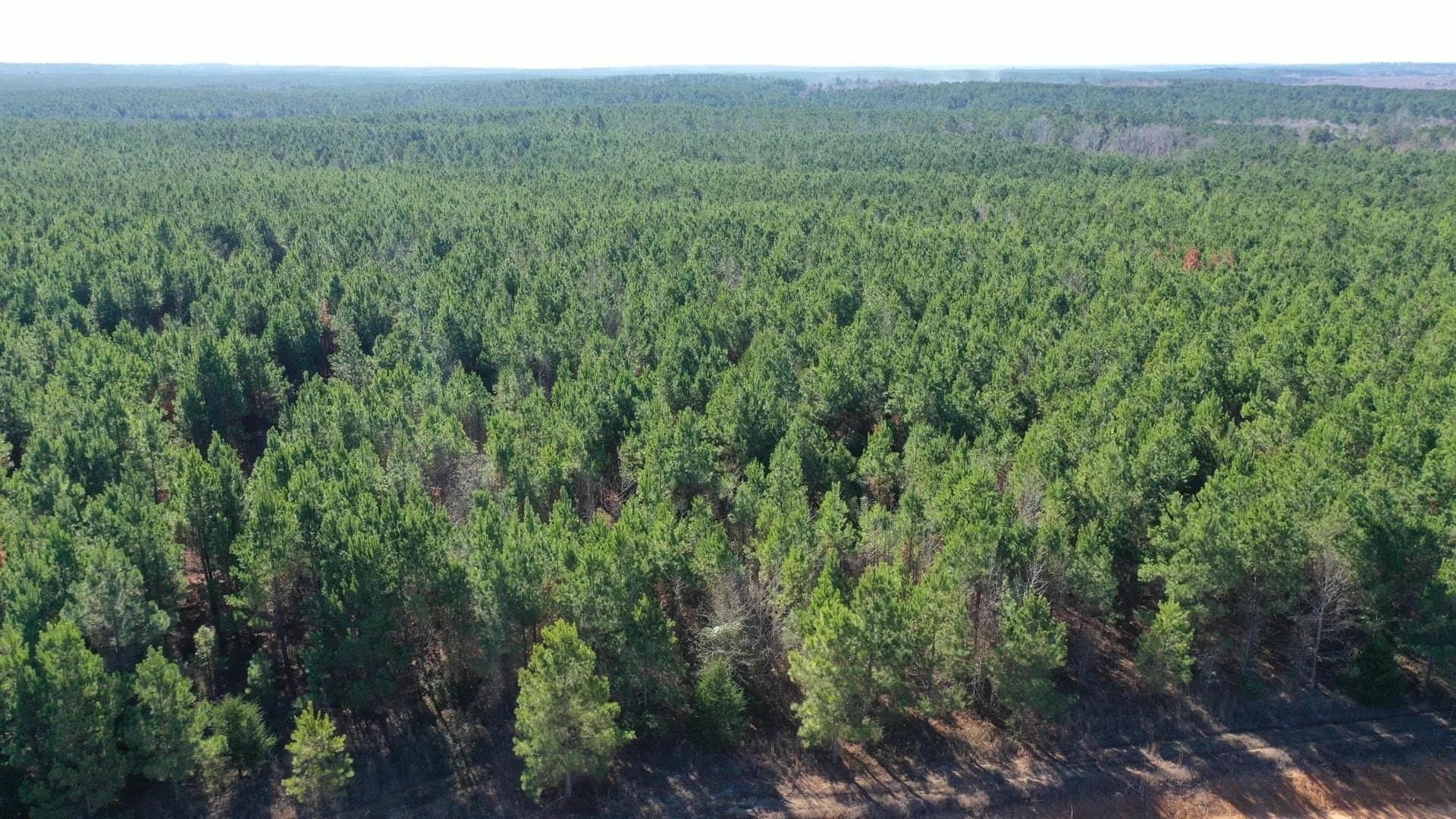209.66 acres in Cass County gallery image 3