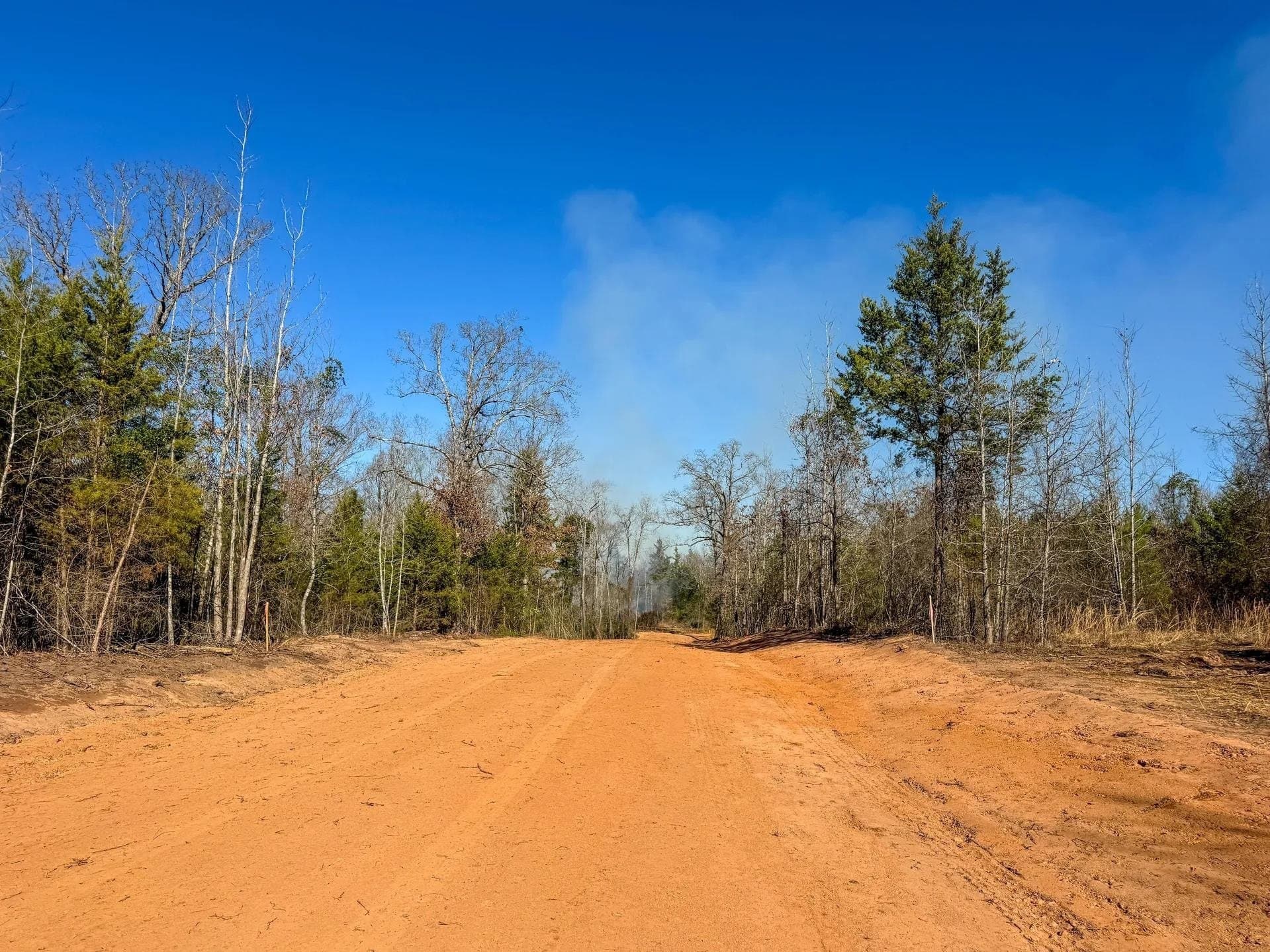 209.66 acres in Cass County featured view