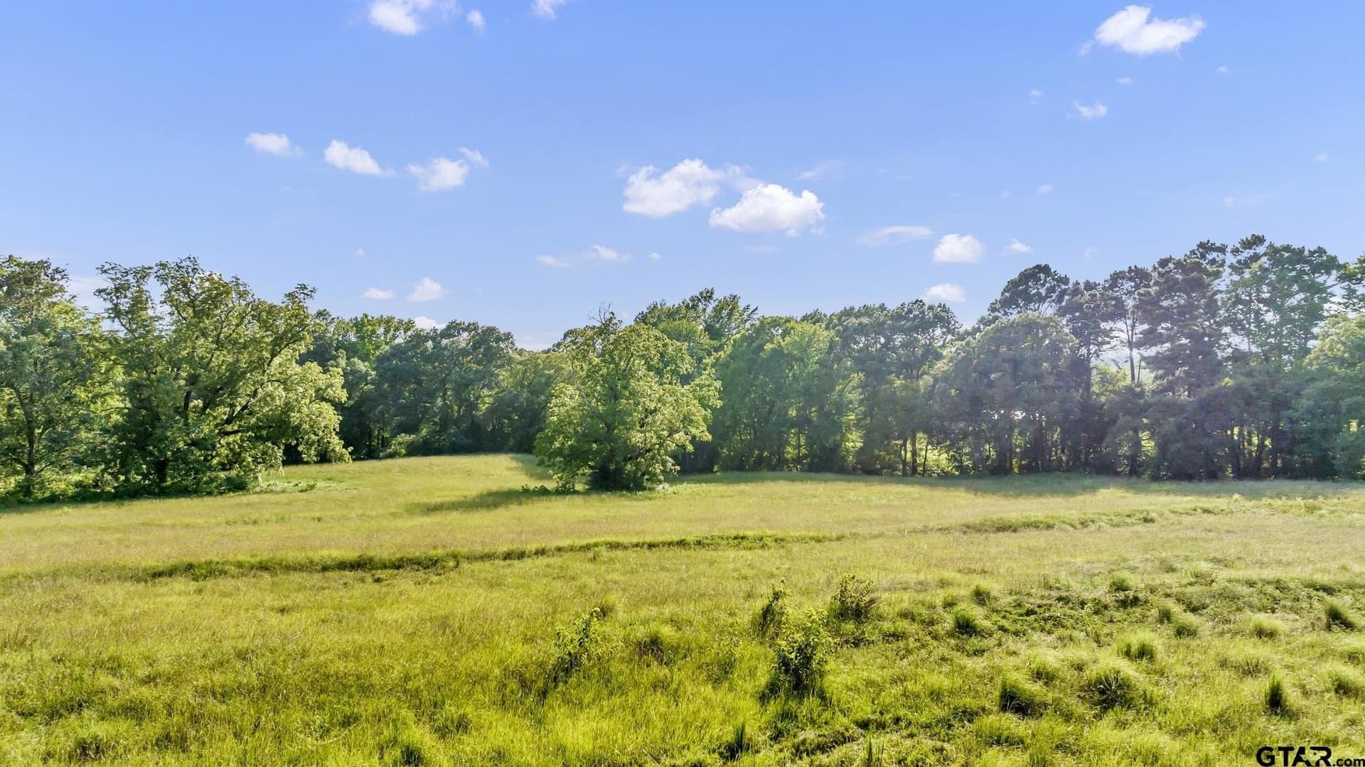 5.32 acres in Upshur County featured view