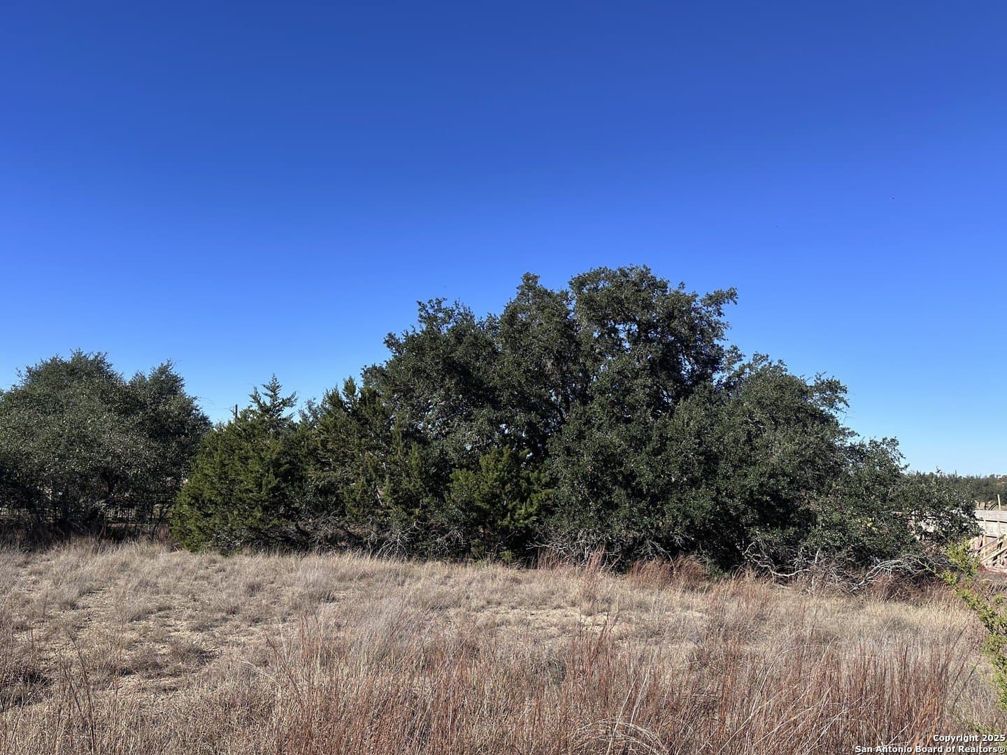 0.35 acres in Blanco County - photo 10