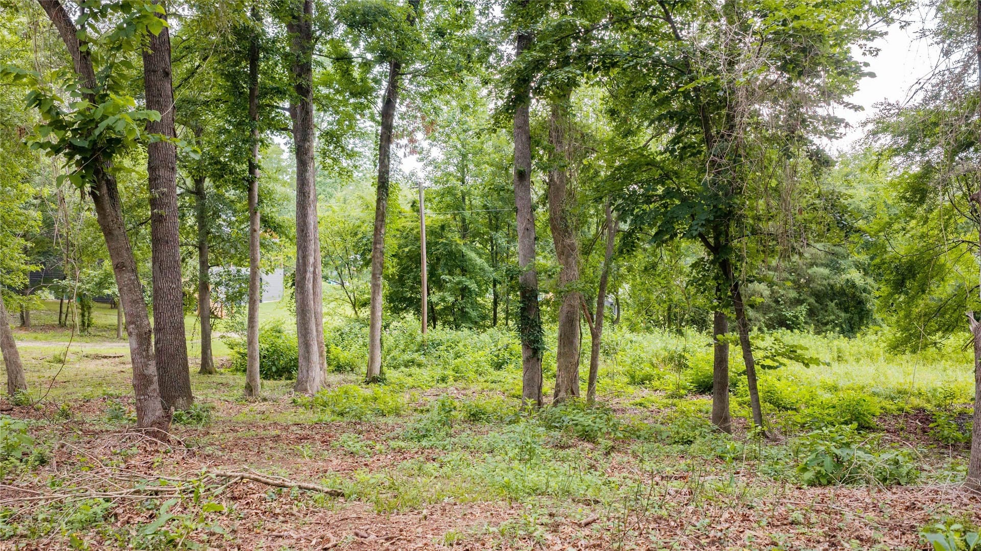 0.88 acres in Franklin (TX) County - photo 4