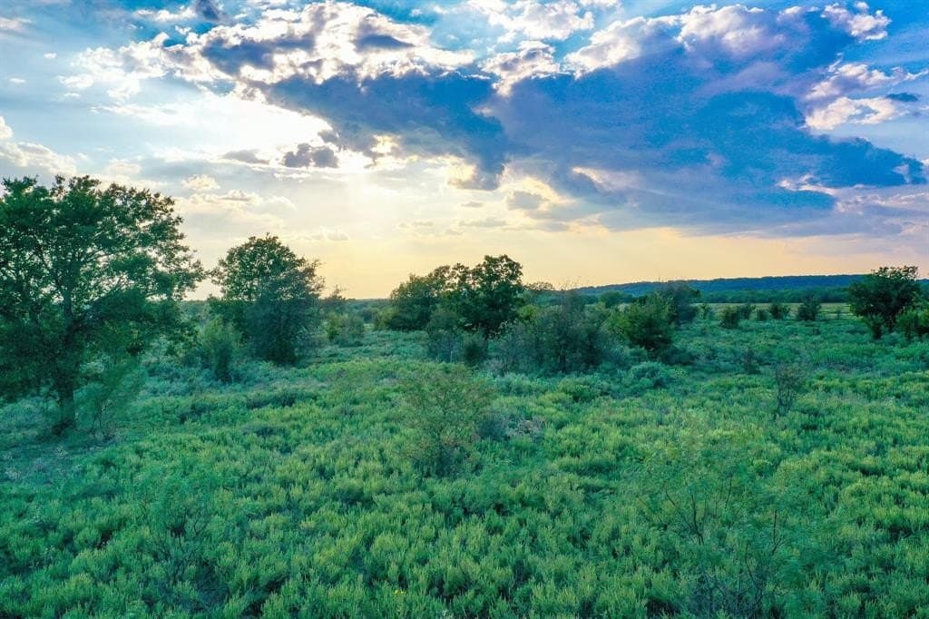 99.97 acres in Jack County gallery image 3