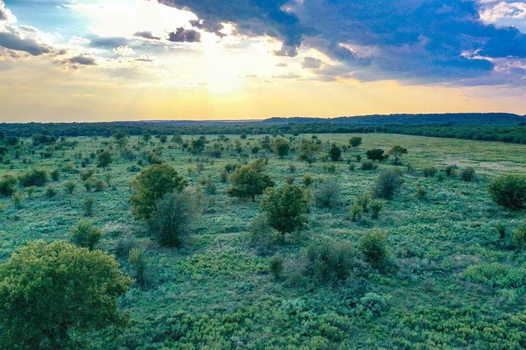 99.97 acres in Jack County gallery image 4