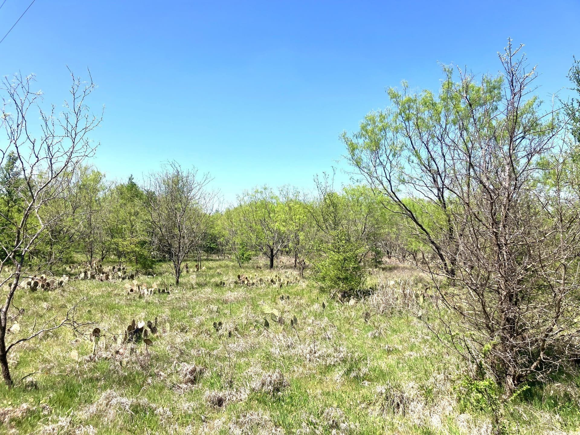 3 acres in Comanche County gallery image 2