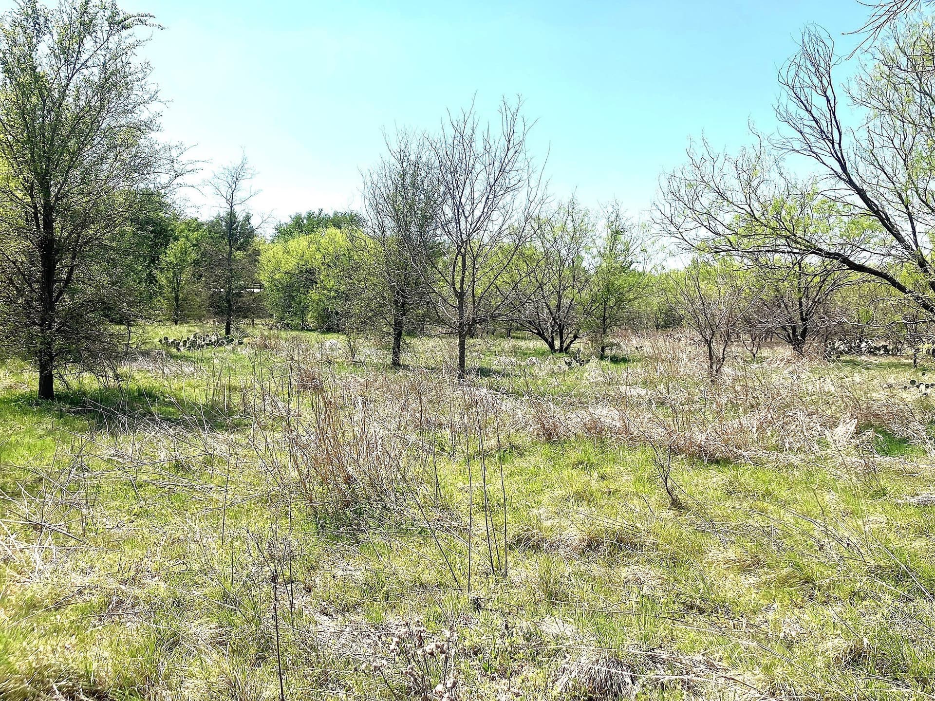 3 acres in Comanche County gallery image 4