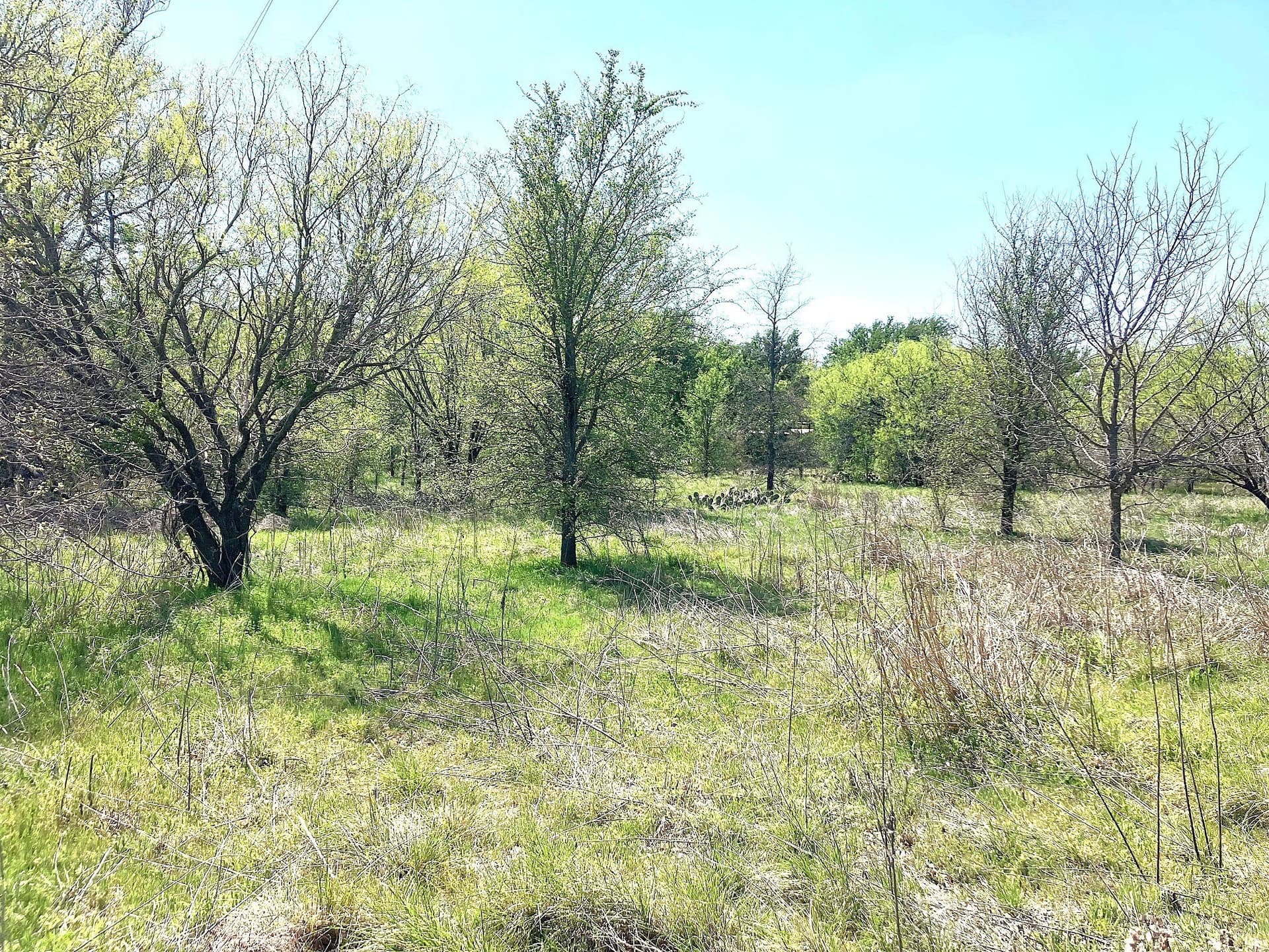 3 acres in Comanche County featured view