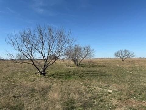 10.01 acres in Hamilton County gallery image 4