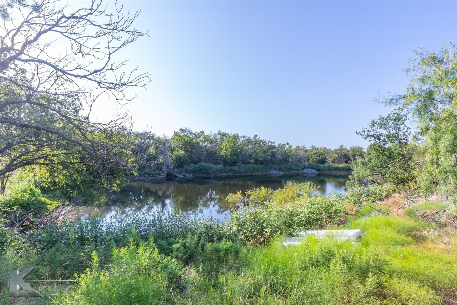 46.15 acres in Taylor County - photo 38