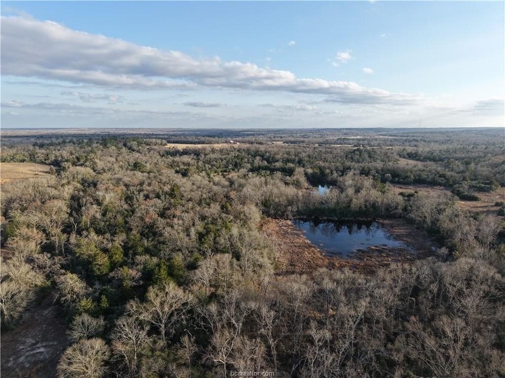 60 acres in Leon County gallery image 4