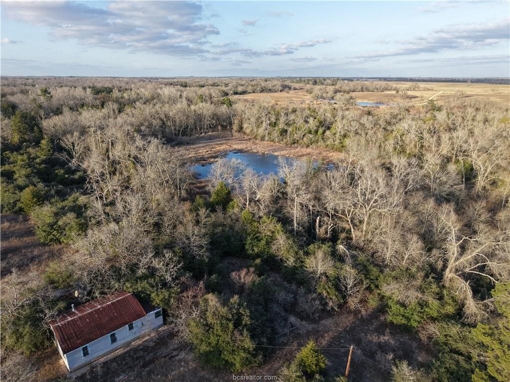 60 acres in Leon County
