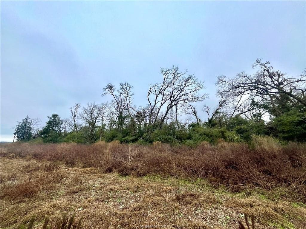 60 acres in Leon County - photo 7