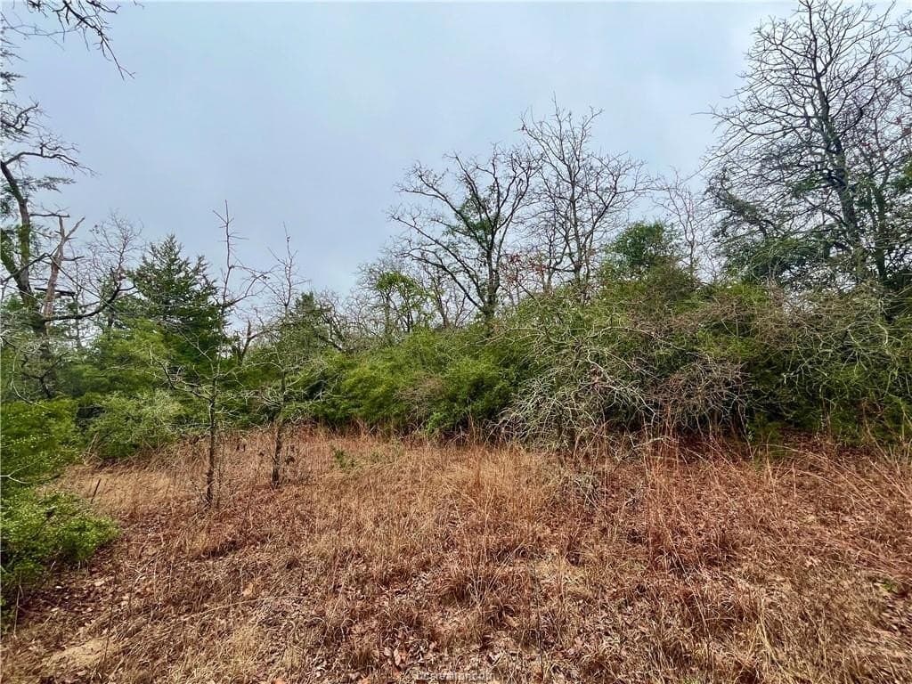 60 acres in Leon County - photo 6